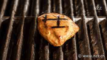 Gesund, klimafreundlich, lecker: Laborfleisch wird mit vielen Versprechungen serviert. Ein Testessen