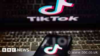 TikTok: US judge blocks Montana's ban citing free speech