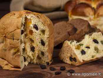 Panettone: come sceglierlo, i cinque migliori