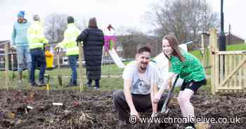 North East Community Forest project to create eight new Tiny Forests across the region