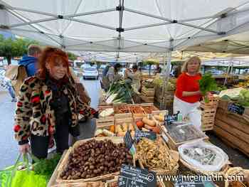 "C’est une joie de les retrouver!", après l'incendie criminel de son magasin So Bio à Peymeinade, le propriétaire organise un marché primeur vertueux
