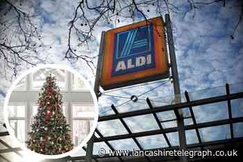 Preston Christmas tree supplier to Aldi ready for festive season