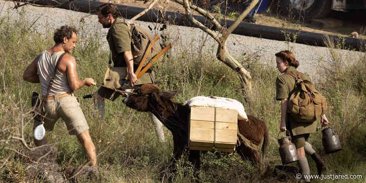 Sydney Sweeney, Jude Law, & Daniel Bruhl Play With a Donkey on 'Eden' Set in Australia!