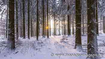 Der Königsweg des Aktienkaufs – aber bitte nachhaltig