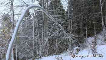 Kempten: Forstverwaltung warnt vor Waldspaziergängen