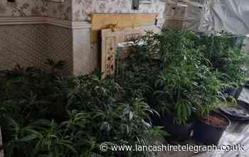 Chorley: Two arrested after 100 cannabis plants discovered