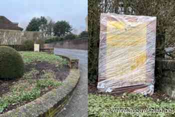 Stad doet uiterlijk op 23 maart uitspraak over nieuwe Lidl in Kasteelstraat