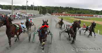 Fredericton to permanently disallow horse racing on exhibition grounds