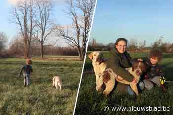 Ilse Van Rompaey (39) lanceert hondenuitlaatservice De MAX : “De liefde voor dieren zit in de familie”