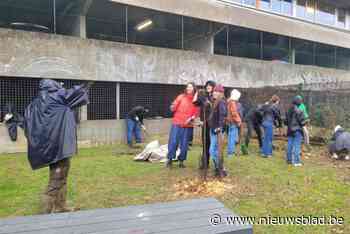 Studenten en personeel van VUB planten 485 bomen