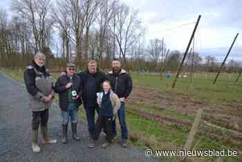 Eerste hopveld van vzw Hop Ten Bos krijgt stilaan vorm, al verliep aanleg niet van een leien dakje: “Tractoren reden zich vast in de modder”