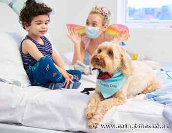 Spread A Smile entertainers forge link with West Mid