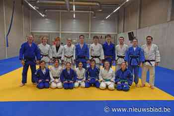 Judoclub organiseert voor het eerst Vlaams kampioenschap: “Niet alleen reclame voor onze club, ook voor de gemeente”