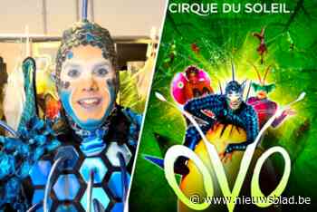 Antwerpse acrobaat komt met Cirque du Soleil naar Lotto Arena: “Straks val ik in als clown”