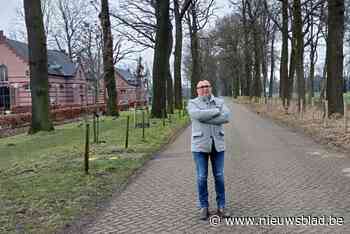Colonie 7 start met wekelijkse markt in Merksplas-Kolonie