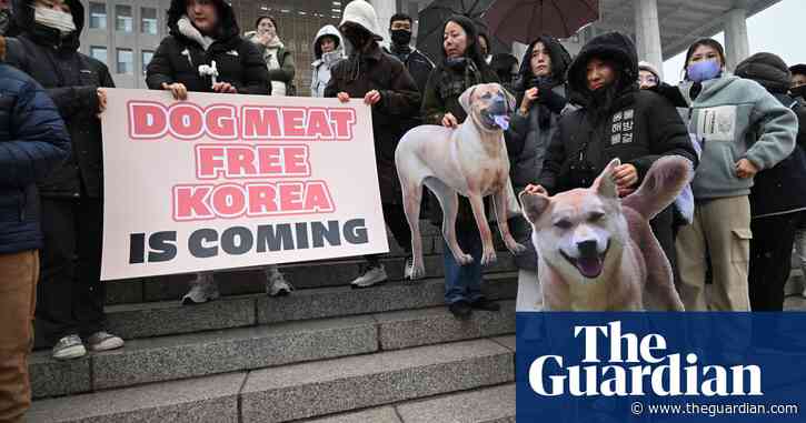How South Korea fell in love with dogs and banned their slaughter for meat