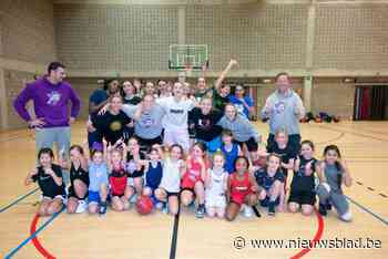Daar is het ‘Belgian Cats’-effect weer: steeds meer meisjes in het basketbal