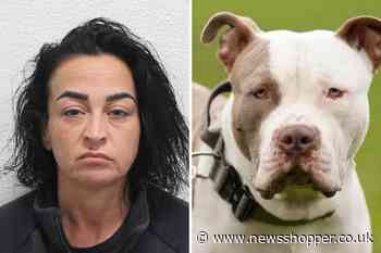 Erith mum tried to cover up XL Bully attack on 10-year-old girl