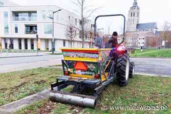 Stad plant 92.800 bloembollen: “stimuleert biodiversiteit”