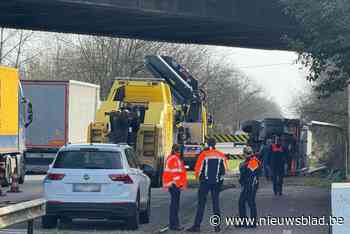 Politie moet N16 in Bornem even afsluiten omdat vrachtwagen van dieplader valt en kantelt