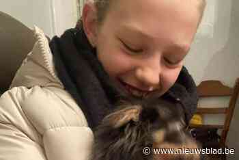 Leon veilig en wel terug gevonden