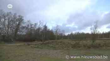 Vergunning voor sanering van kleiputten in Boom en Rumst vernietigd