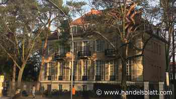 Grauer Kapitalmarkt: Wie die Vermögensverwaltung Picam 320 Millionen Euro verschwinden ließ