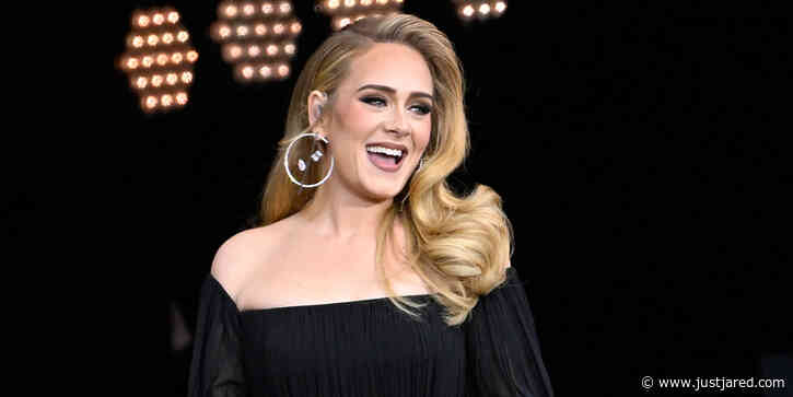 Famous Director Reveals the Oscar-Nominated Role They Wanted Adele For