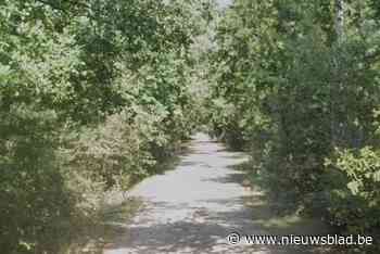 Aannemer start werkzaamheden op Mollenweg