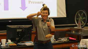 Science experiments and endless enthusiasm led a physics professor to TikTok stardom