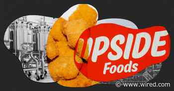 Leading Lab-Grown Meat Company Upside Foods Just Paused a Major Expansion