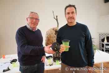 500 Maaslanders gezocht om Aziatische hoornaars op te sporen met gratis val: “Ingrijpen is noodzakelijk”