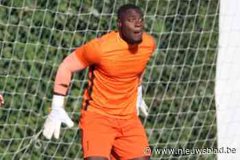 Zedelgem haalt keeper Kobe Vandeweghe weg bij Daring Brugge