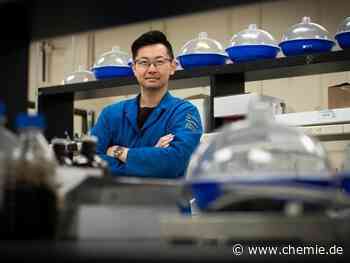 Kostengünstige, kohlenstoffneutrale Biokraftstoffe sind endlich möglich