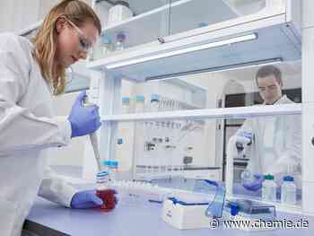 Ein Köttermann Labor entsteht in Mekka