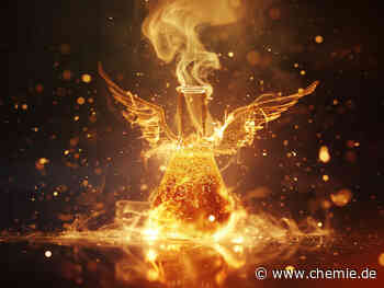 Revolution der Fermentation?