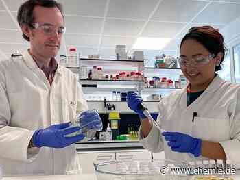 Wissenschaftler entdecken, dass ein in Waschmitteln verwendetes Enzym Einwegkunststoffe recyceln kann