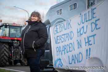Paardenhouders voor het eerst schouder aan schouder met boeren: “Waar moeten we ze nog zetten, op ons terras?”