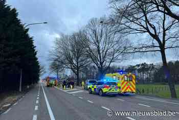 Bestuurder gewond na ongeval in Beringen, Paalsesteenweg tijdlang afgesloten