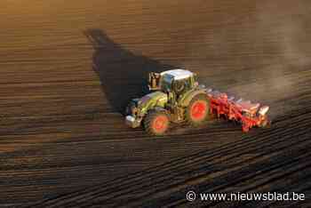 Stad Turnhout verpacht twee landbouwgronden