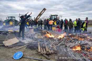 “Dié boeren hebben we niet gevraagd. Ik hoop dat ze snel vertrekken”: achter de schermen van de protesten