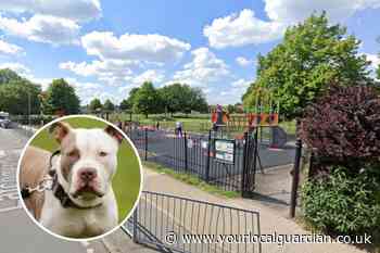 Burn Road’s Latchmere Recreation Ground: XL bully attack