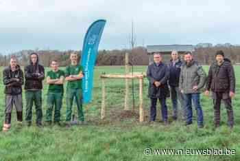 Airkoe plant 36 schaduwbomen aan bij landbouwers