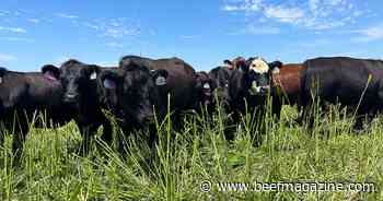 March webinar series to focus on cow feeding fundamentals