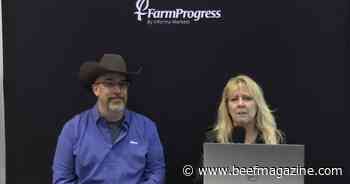 Research sheds insight on replacement heifers