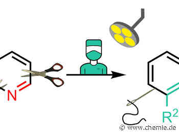 Chemische Synthese: neue Strategie zur Skelett-Editierung von Pyridinen