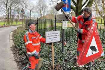 Padden beginnen steeds vroeger aan hun trek maar ze zijn met veel minder: Natuurpunt en UGent zoeken samen naar oorzaken