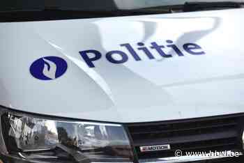 Bewoonster oog en oog met inbreker in Hamont