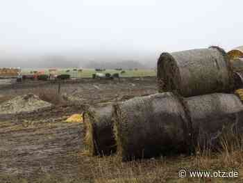 Scheune von Gemeinderat in Großlöbichau zerstört: Brandstiftung vermutet