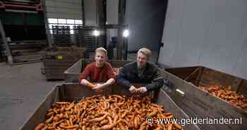 Stefan en Thijs zitten met 50.000 kilo misvormde aardappelen: ‘Groot probleem dat we zelf hebben gecreëerd’